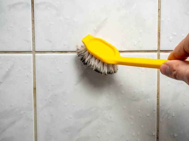 Best Insurance-Related Mold Remediation in White Haven, PA