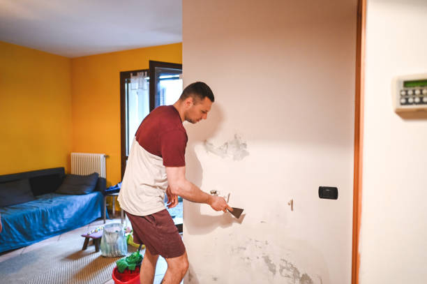 Best Basement Mold Remediation in White Haven, PA